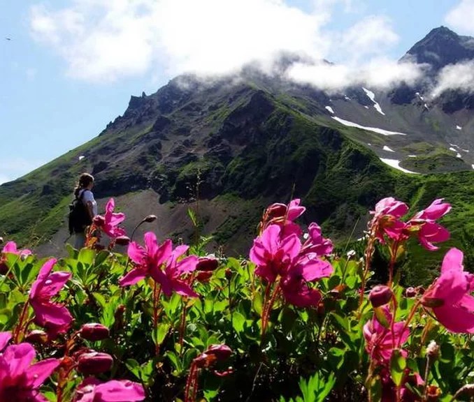 Красивая природа, альпийские луга, горы, водопады с компанией край земли. Gornyj Massiv Vachkazhec Ekskursii Kamchatka Wild Tours Rossiya