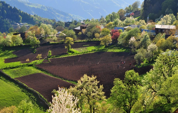 Водитель мамука лучше всякого экскурсовода расскажет о грузии, быте народа, посещаемых местах, сделает чудесные фото с лучшими видами. Gornaya Adzhariya