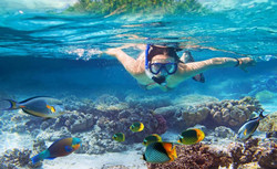 Цены, отзывы, полезная информация и бронирование экскурсии «шесть эмиратов за один день» представлены на нашем сайте. Indijskij Okean 6 Emiratov Ekskursii Dubaj Oae