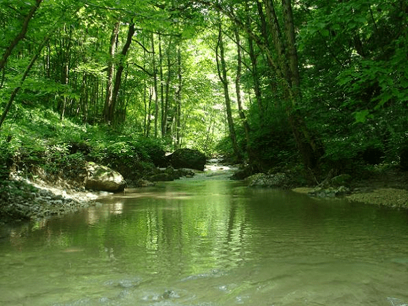В переводе с черкесского «мишоко» означает «медвежья долина». Adygturs Ushele Reki Meshoko